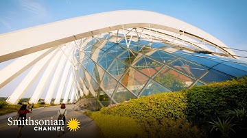 A Singapore Sky Garden Resembles an Alien Structure 👽 How Did They Build That? | Smithsonian Channel