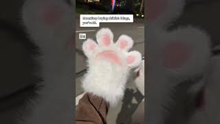 But it makes me feel so warm and cozy 😌❤️#cutepaws #pawlove #kitten #warm #accessories #cozy But it makes me feel so warm and cozy 😌❤️#cutepaws #pawlove #kitten #warm #accessories #cozy