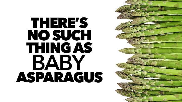Why There's No Such Thing as BABY Asparagus - DayDayNews