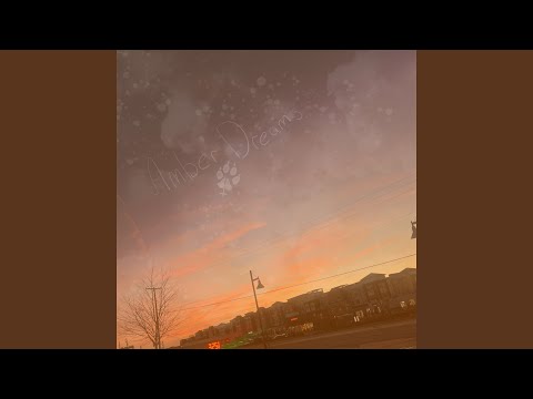 Amber Dreams