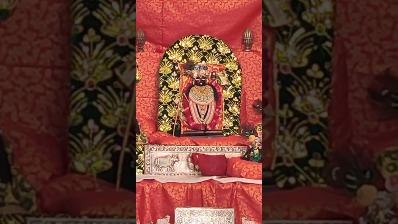 Traveling Deji is live! In Goverdhan nath ji haveli Amritsar