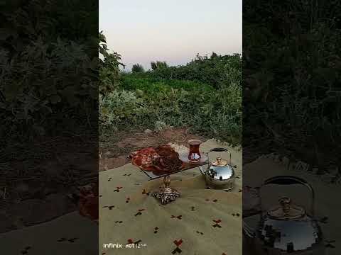 أجمل الجلساة مع بستاني المبارك