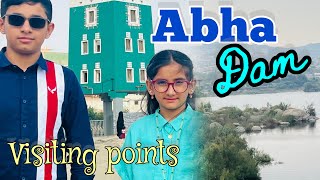 In The Country Of Deserts Beautiful Abha Lake