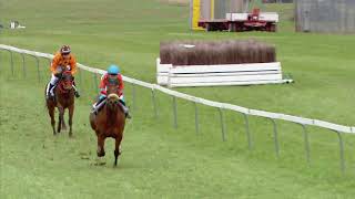 Fehraltorf02.04.2018Preis Der Firma Intool Ag - Poneys D