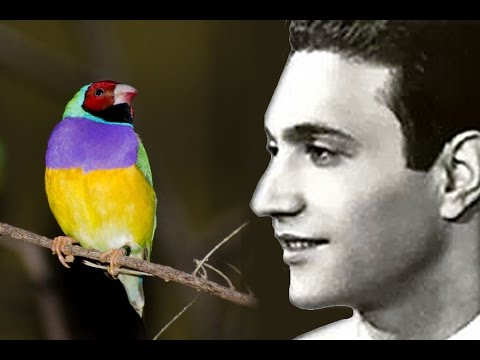 كروان حيران محمد عبد الوهاب قديم تنقيح صوتي