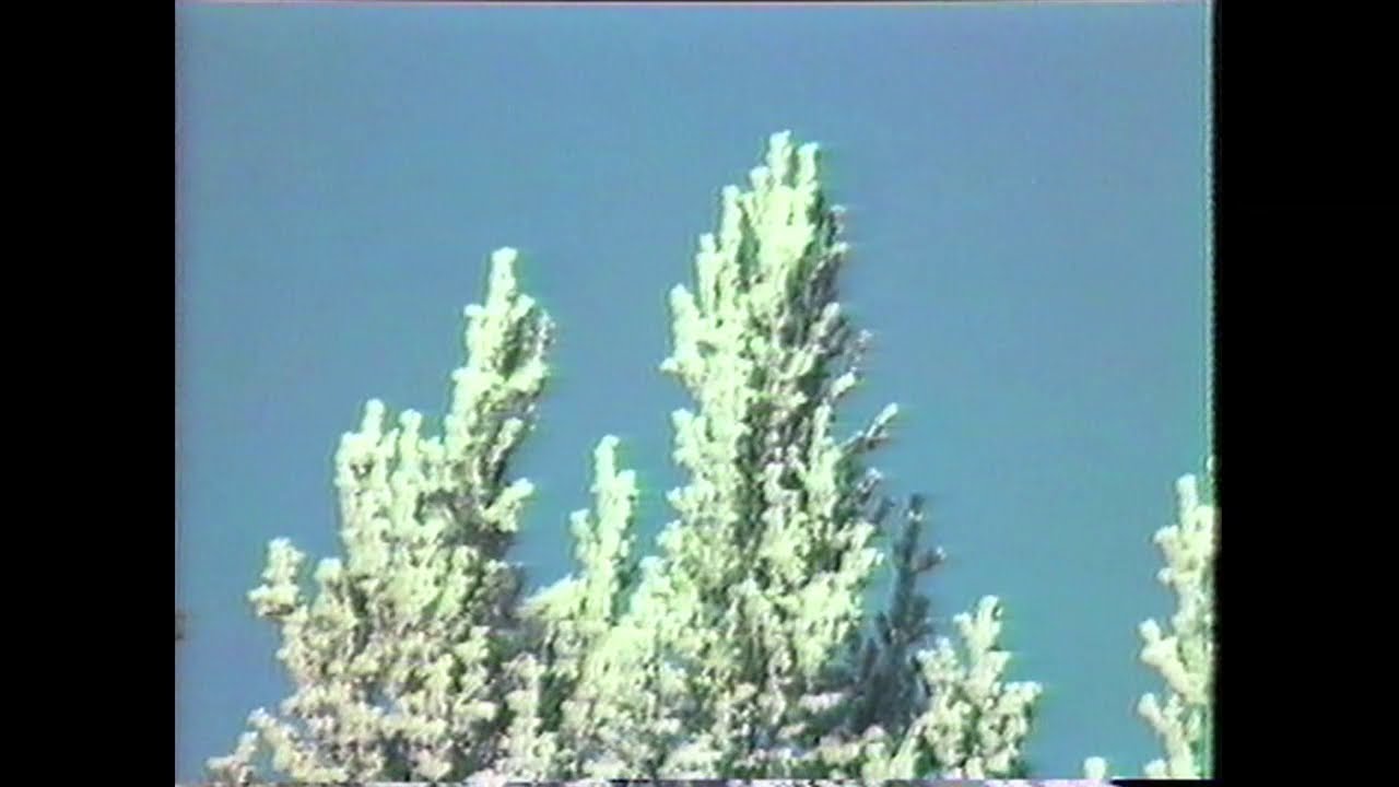 SUNDBORN VI MINNS: En Januaridag i Lilltäkt 1982