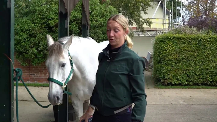 Sharon Hunt - Professional Equine Clipping Techniq...