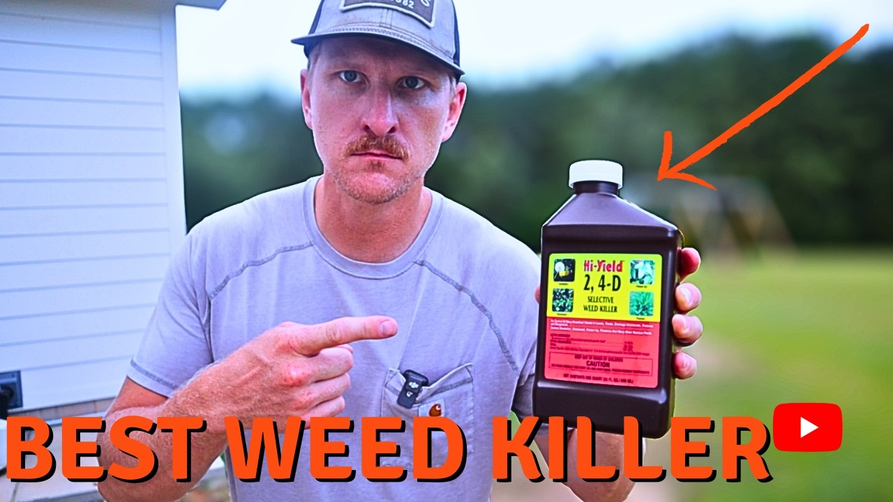 Best Weed Killer for Bermuda Lawns - 2,4-D