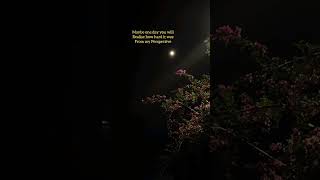 🥲 #shortvideo #love #lyrics #poetry #status #shortvideo #shorts #short #fyp #aesthetic #dark