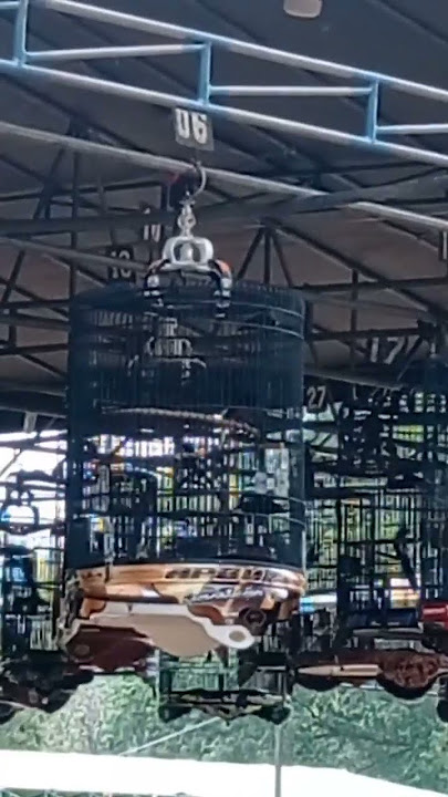 Piala walikota Jakarta Selatan