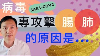 (冠肺4)[病毒任務]為何SARS病毒專攻擊人類肺部和腸道原來背後有驚人原因,好可怕😱(中文字幕)