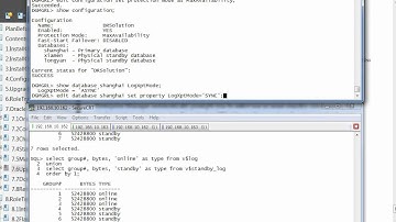 08.03 Oracle_10gR2_DataGuard_8.3 Preparatory Checks before a Switchover.avi