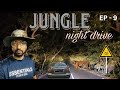 Jungle Night Drive | most dangerous jungle #jungleride #wildanimals #dudhwatigerreserve