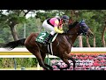 新潟2歳S王者レッチュベルク、田辺裕信騎手と朝日杯FSへ!12月20日のGⅠに直行