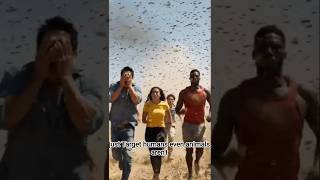 The Killer Bees That Took Over America 🐝