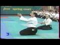 Stage d aikido de steven seagal  lambres lez douai en 1996 organis par  le wagodojo