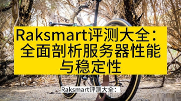 Raksmart评测大全：全面剖析服务器性能与稳定性