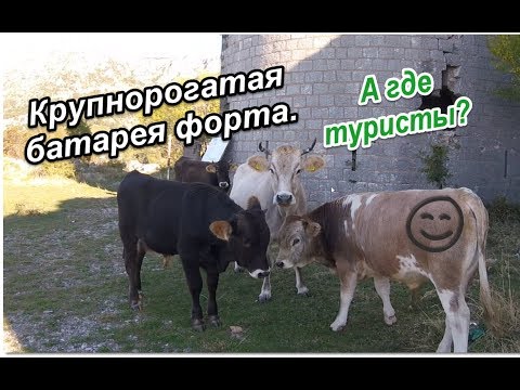 Черногория. Маршрут на машине Будва-Цетинский монастырь- Мавзолей Негоша, село Негуши (пршут).