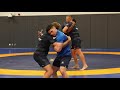 Roosters wrestle