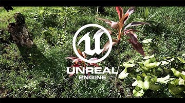 Realistic Plants Test - Unreal Engine 4