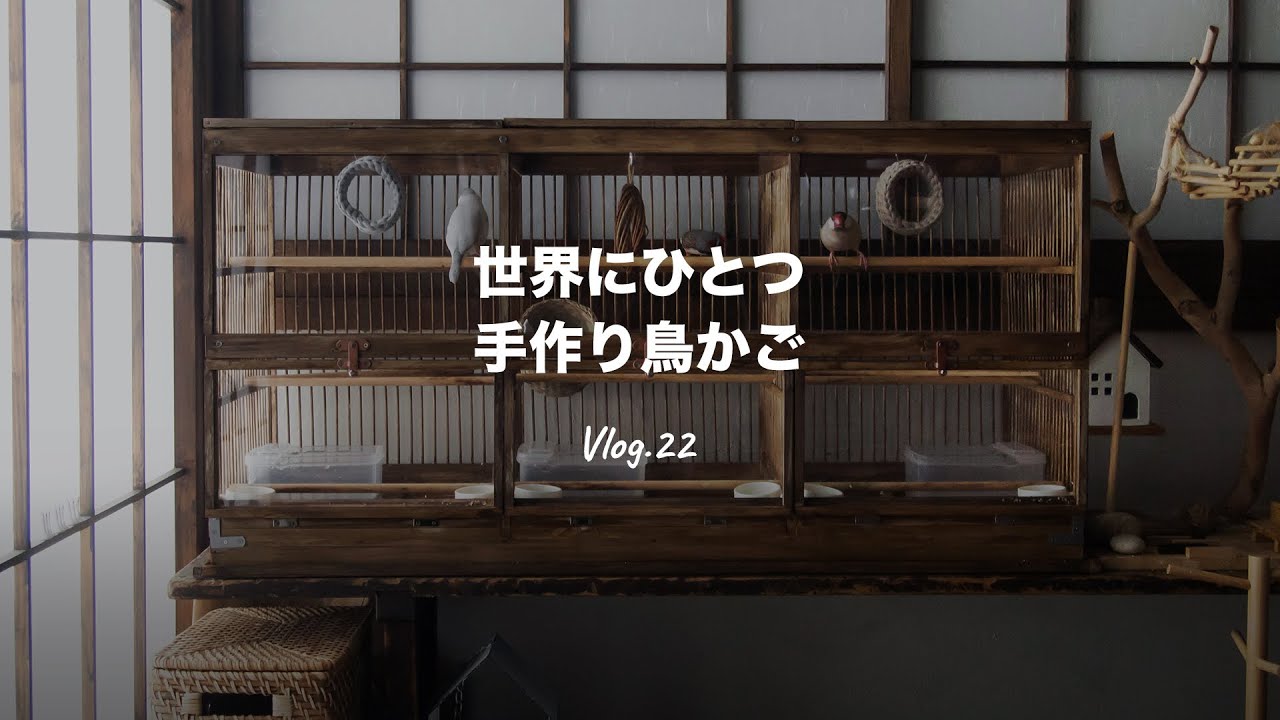 SHIKAKUMA Bird cage | DIY bird cage making | CINEMATIC VLOG