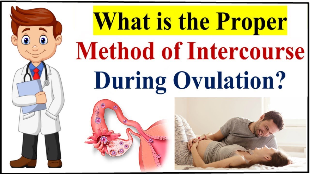When and How to Have Intercourse During Ovulation to Get Pregnant Fast