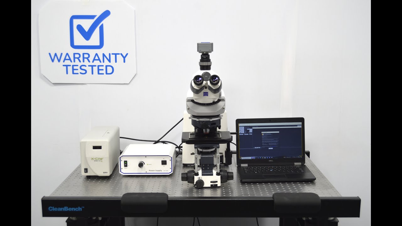 Zeiss Axio Examiner.D1 Fluorescence Phase Contrast Microscope ElectrophysiologyRig [BOSTONIND]-62844