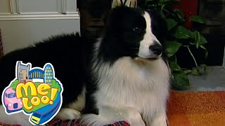 @MeTooTVShow - Clean Corridors | Full Episode | TV Show for Kids