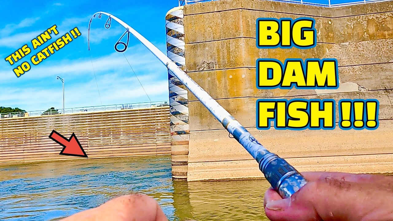 ЛОВЛЯ РЫБЫ НА ПЛОТИНАХ РЕКИ ТЕННЕССИ!!!