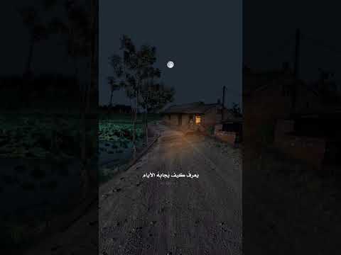 روميو صديقي يحفظ عهد الأصدقاء سبيستون ريمي عهد الاصدقاء روميو ماروكو