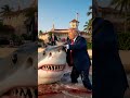 Donald Trump wins vs shark at Mara Lago #funnyshorts #og #goat #maga