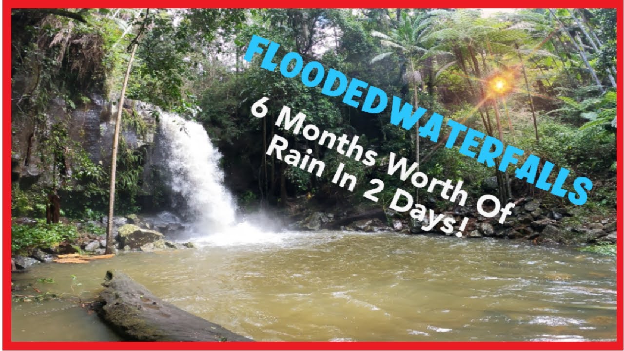 Flooded Waterfalls! 6 Months Worth Of Rain In 2 Days! Mt Tamborine