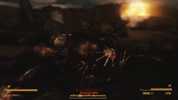 Fallout New Vegas Modded with ENB