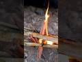 Antorcha de SUPERVIVENCIA 🔥