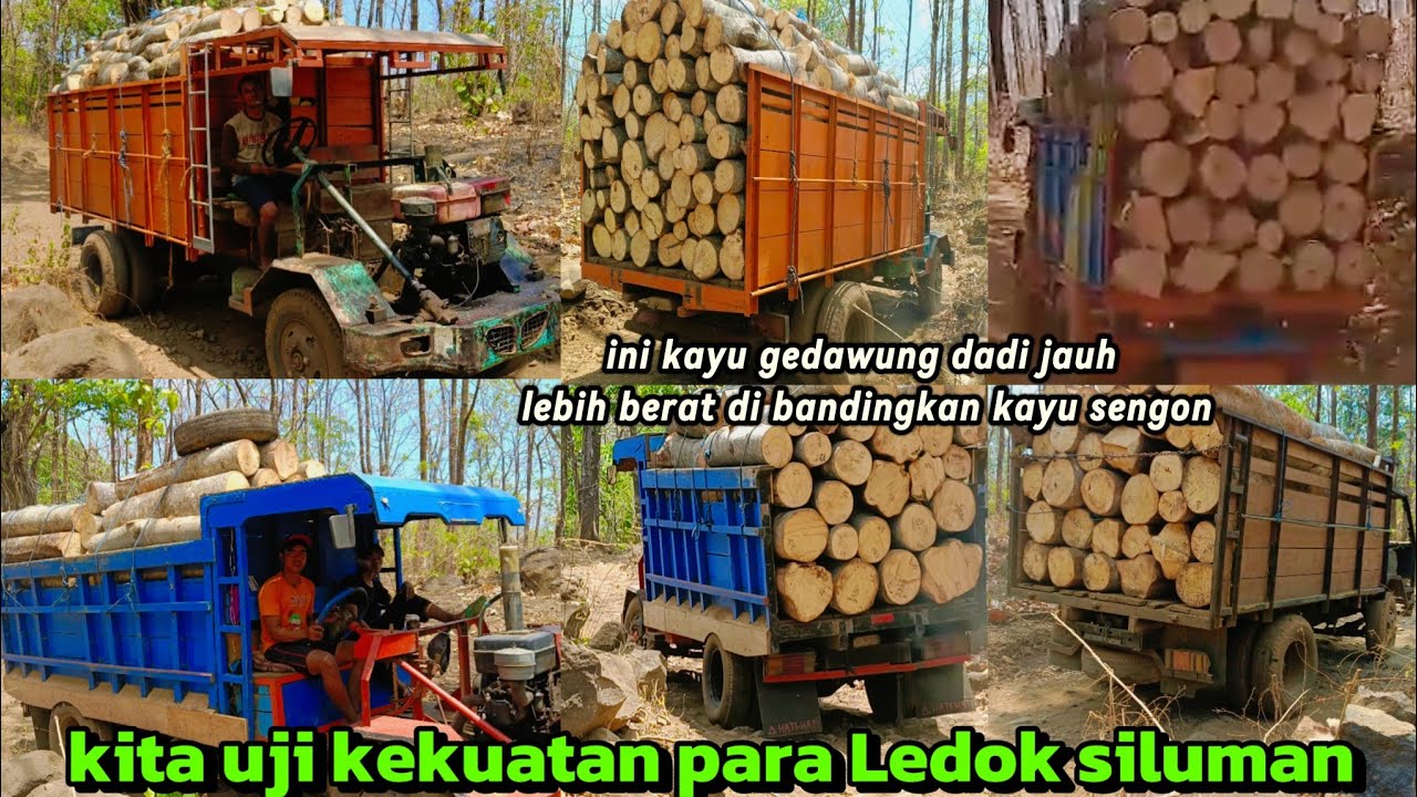 hari kedua!!tes kekuatan para Ledok siluman ban dobel angkutan kayu gedawung di tanjakan curah gerri