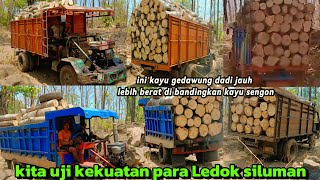hari kedua!!tes kekuatan para Ledok siluman ban dobel angkutan kayu gedawung di tanjakan curah gerri