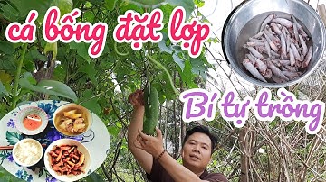 Cá bống dừa kho sả ớt kết hợp canh bí đao, mâm cơm ngon ll Pilo Nguyen TV