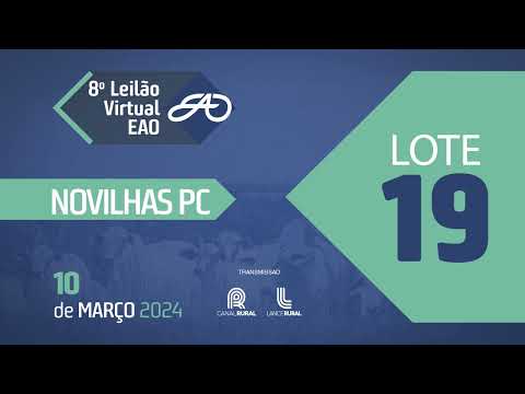 LOTE 19