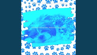 Unique Backdrops for Sleeping Dogs