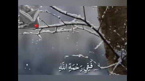 تلاوة خاشعة وآيات مباركة من سورة آل عمران.📚/القارئ عبدالله الموسى./حالات واتس أب دينية.💞