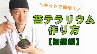 作製キットで作る 苔テラリウムの作り方【初心者編】