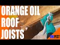How to Treat Drywood Termites in Patio Cover Joists w/ Orange Oil + Boracare |Santa Clarita Termites