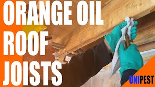 How to Treat Drywood Termites in Patio Cover Joists w/ Orange Oil + Boracare |Santa Clarita Termites by Unipest Pest and Termite Control Inc. 31,012 views 3 years ago 5 minutes, 39 seconds