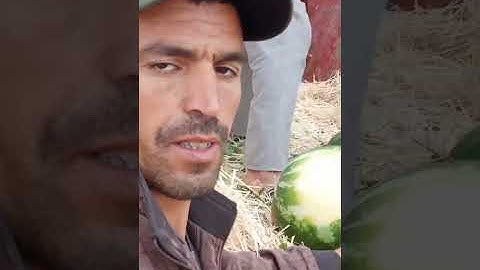 الحمد لله على الخيرات والبركات بلاديا المغرب من منطقة برحيل اقليم تارودانت #المغرب #اكسبلور #food