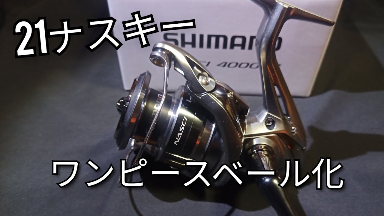 ワンピースベール化】 21 ナスキー 4000XG