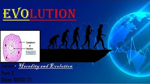 What is EVOLUTION? Theories of EVOLUTION# HEREDITY & EVOLUTION (Class 10/Part 2)