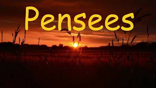 Pensees: New Collection. Relax Mix by Ambusic 916 views 4 years ago 32 minutes