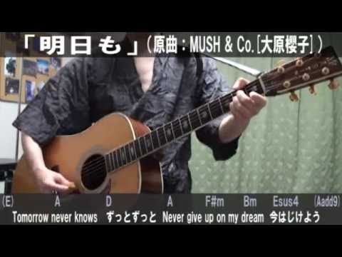 Mush Co 大原櫻子 明日も サビだけ弾き語りカバー 歌詞 コード進行 実演動画 Youtube
