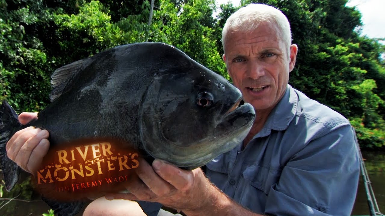 Jeremy's Largest Piranha Catch Ever, PIRANHA