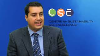 What is the Center for Sustainability Excellence